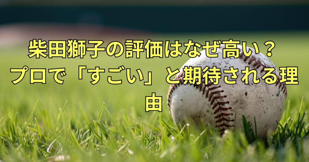柴田獅子の評価が高い理由