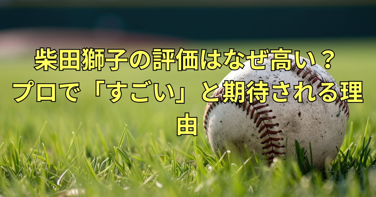 柴田獅子の評価が高い理由